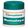 Himalaya Rumalaya Tablets - Joints & Muscles Pain 